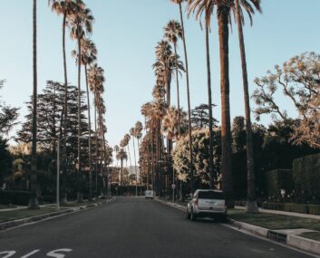 a white vehicle parked on the road between palm trees