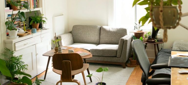 image of a room in a apartment